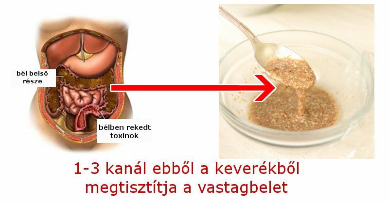 tisztito